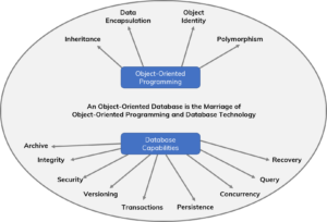 object oriented.jpg