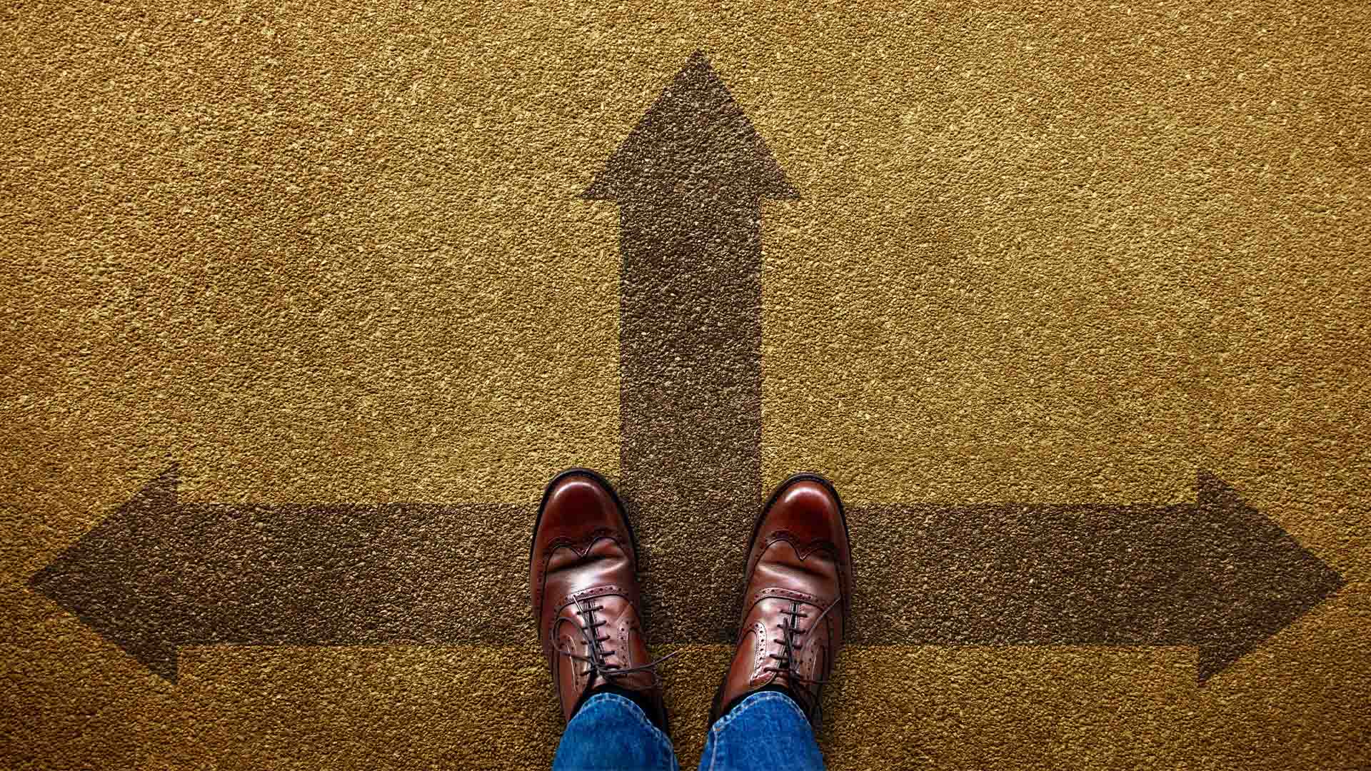 Data Insights to drive better decisions
