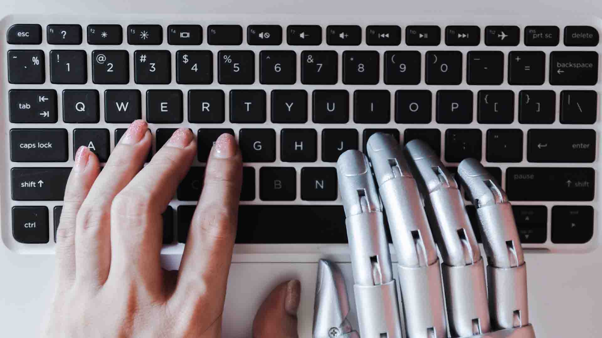 ai powered chatbot