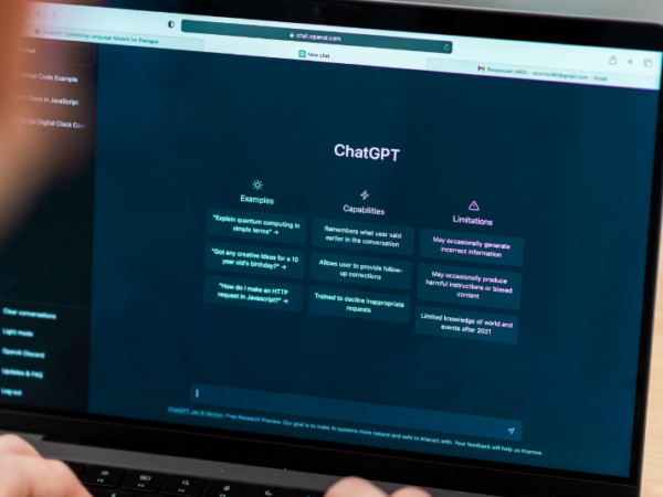ChatGPT as a Data analyst